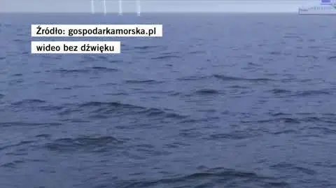 Wypadek podczas wodowania