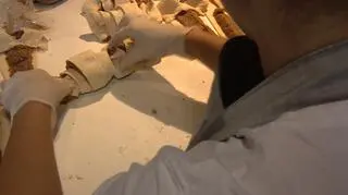 Tak zawinięty rogal trafia prosto do pieca