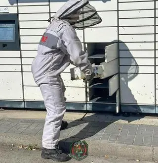 Pszczoły zainteresowały się skrytką na paczki
