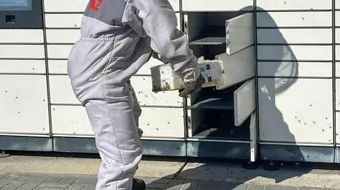 Pszczoły zainteresowały się paczkomatem