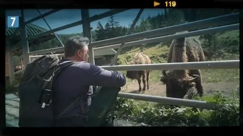 Polska na weekend. Szlaki Bieszczad i Beskidu Niskiego 