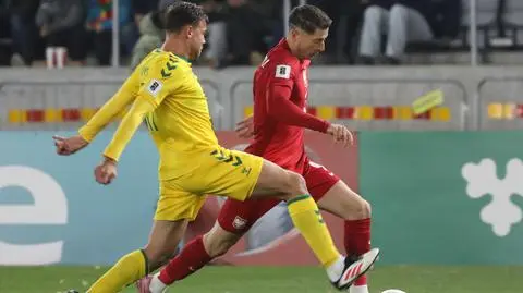Litwa - Polska. Relacja na żywo z meczu