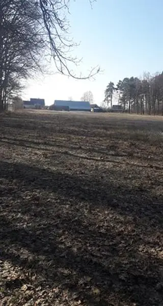 W Augustynce najbliższe zabudowania leżą w odległości 100, 115 i ok. 340 metrów