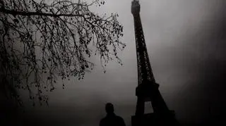 Wyróżnienie: Eerie Eiffel