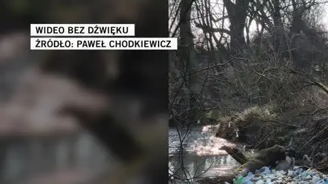 PAWEŁ CHODKIEWICZ