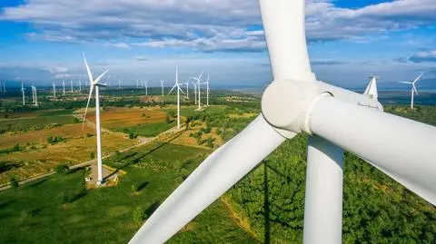 Konkret24. Więcej wiatraków to droższa energia?