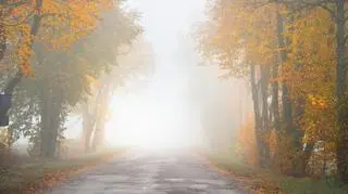 Gęsta mgła na drogach. Obowiązują żółte alarmy IMGW