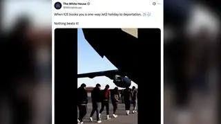 Deportacje i hit sieci. Biały Dom: nic tego nie przebije