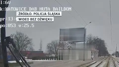 policja śląska