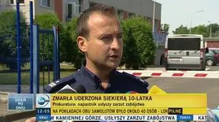 Policjanci o sprawcy ataku na 10-latkę