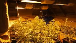 Procederem zajmował się od 2 lat 