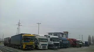 Ciężaróki czekają na parkingu przed terminalem portowym