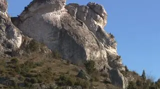 Rezerwat przyrody Sokole Góry