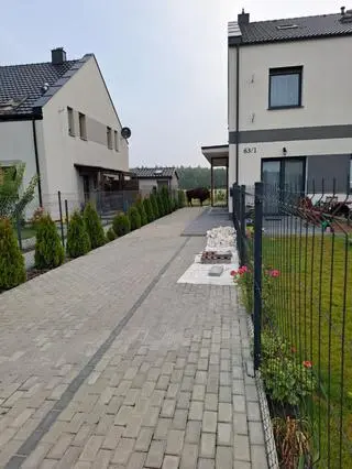 Żubr uciekł z prywatnej hodowli pod Poznaniem