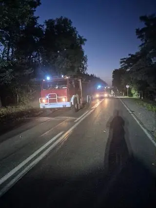 Motocykl zderzył się z łosiem