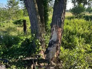 W wypadku zginęli 20- i 23-latek