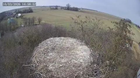 Klatka kluczowa-283686