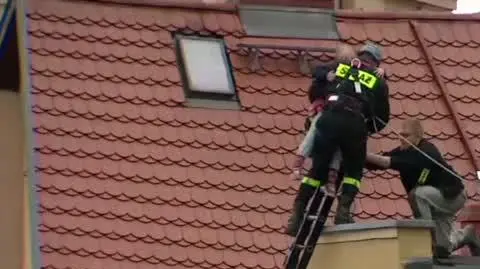 ewakuacja dziewczynki brawa