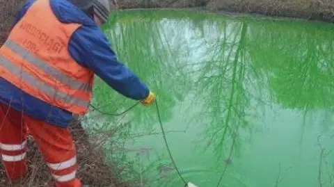 Klatka kluczowa-319146