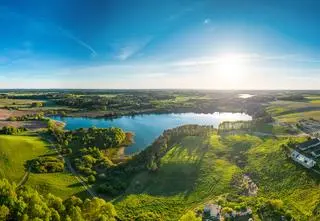 Budowa jednego z największych parków rozrywki zagrożona. Z powodu żółwia