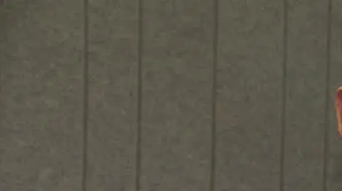 AYLON_03
