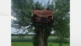 Wrak spalonego auta na drzewie