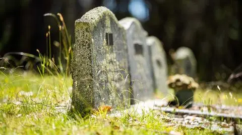 shutterstock_2249602237_1