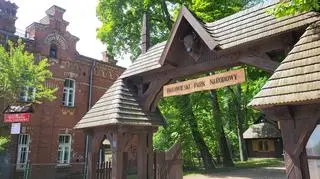Jedną z osi podziału jest stosunek do ochrony Puszczy Białowieskiej 