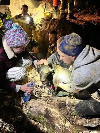 Psa udało się wydostać