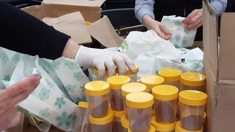 Rozdali zestawy do wykonania "bomb kwietnych"
