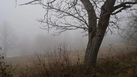 Pogoda na 5 dni: mgliste poranki, miejscami słabe opady