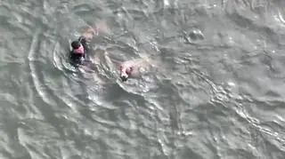 Policjant wskoczył do wody, aby ratować psa