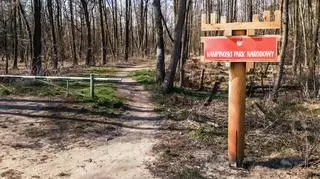 "Najbardziej palny park w Polsce" zmaga się z suszą