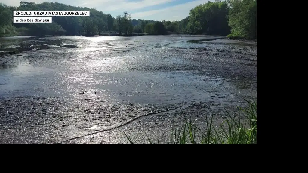 zgorzelec
