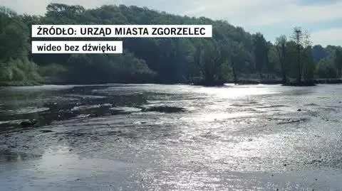 zgorzelec