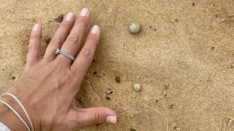 Woda wyrzuciła na brzeg tajemnicze kulki. Zamknięto najsłynniejsze plaże w regionie  