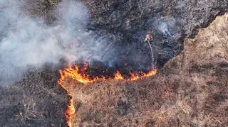 Pożar trawy na Wilanowie