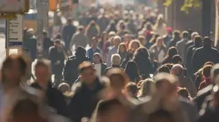 Pracują nad sztuczną inteligencją. "Głęboko wierzymy, że AI może zabić wszystkich ludzi"