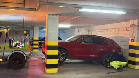 Skradzione auta ukryto m.in. w halach garażowych