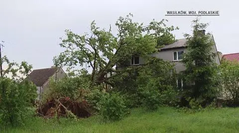 Krajobraz po nawałnicy w Wasilkowie