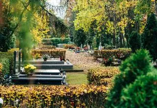 Kulczyk, Feldman, Łybacka i Ada Rusowicz. Znane osoby pochowane na poznańskich cmentarzach