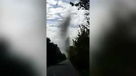 To nie trąba powietrzna, a chmara owadów nad Mierzeją Helską