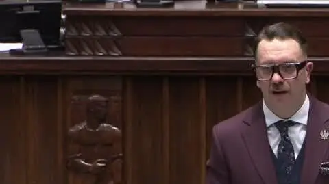 sejm mejza