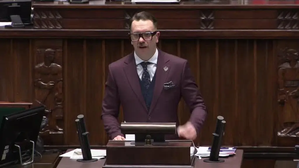 sejm mejza