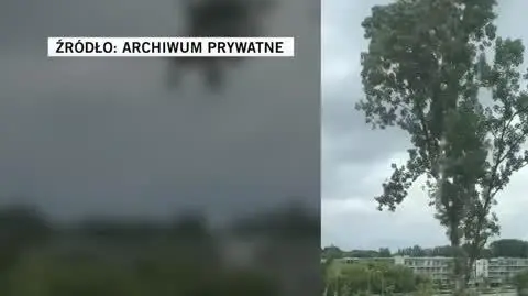 ARCHIWUM 