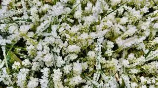 Dwa zagrożenia, ostrzeżenia w 10 województwach 