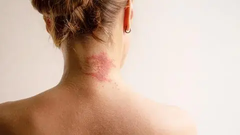 shutterstock_2389071237_1