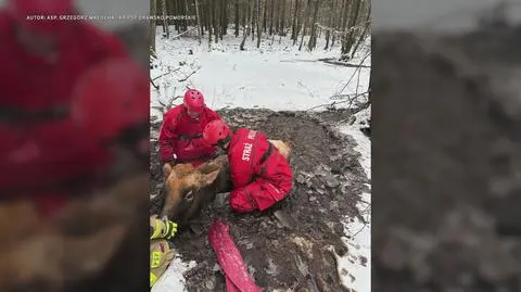 Klatka kluczowa-143584