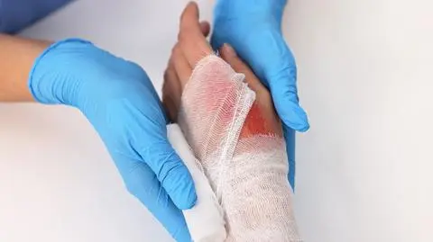 shutterstock_2416394987_1