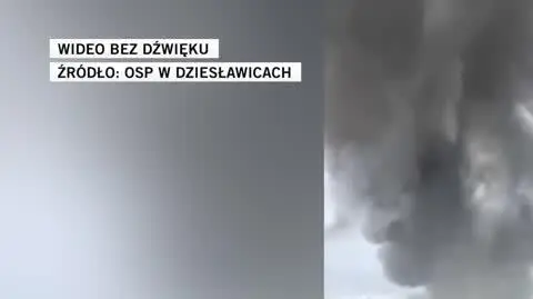 OSP w Dziesławicach
